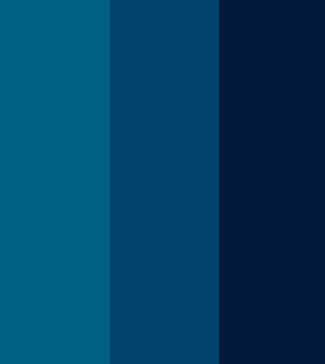 montesac_colorantes_reactive-azul-bs